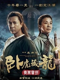卧虎藏龙：青冥宝剑